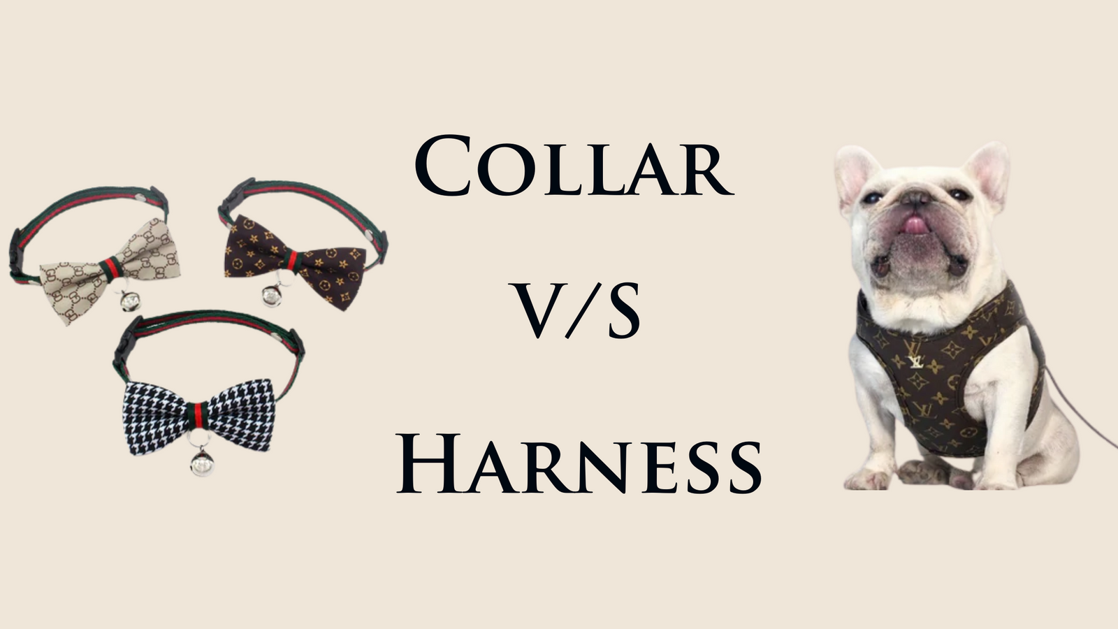 Dog Collar vs. Harness- Which is best for your Pet ?