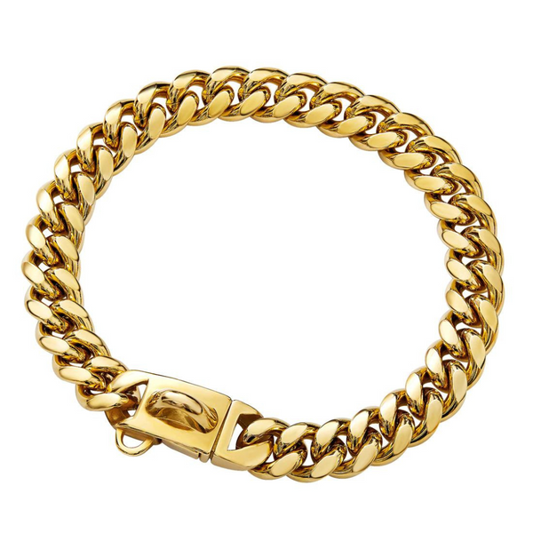 Gold dog collar chain