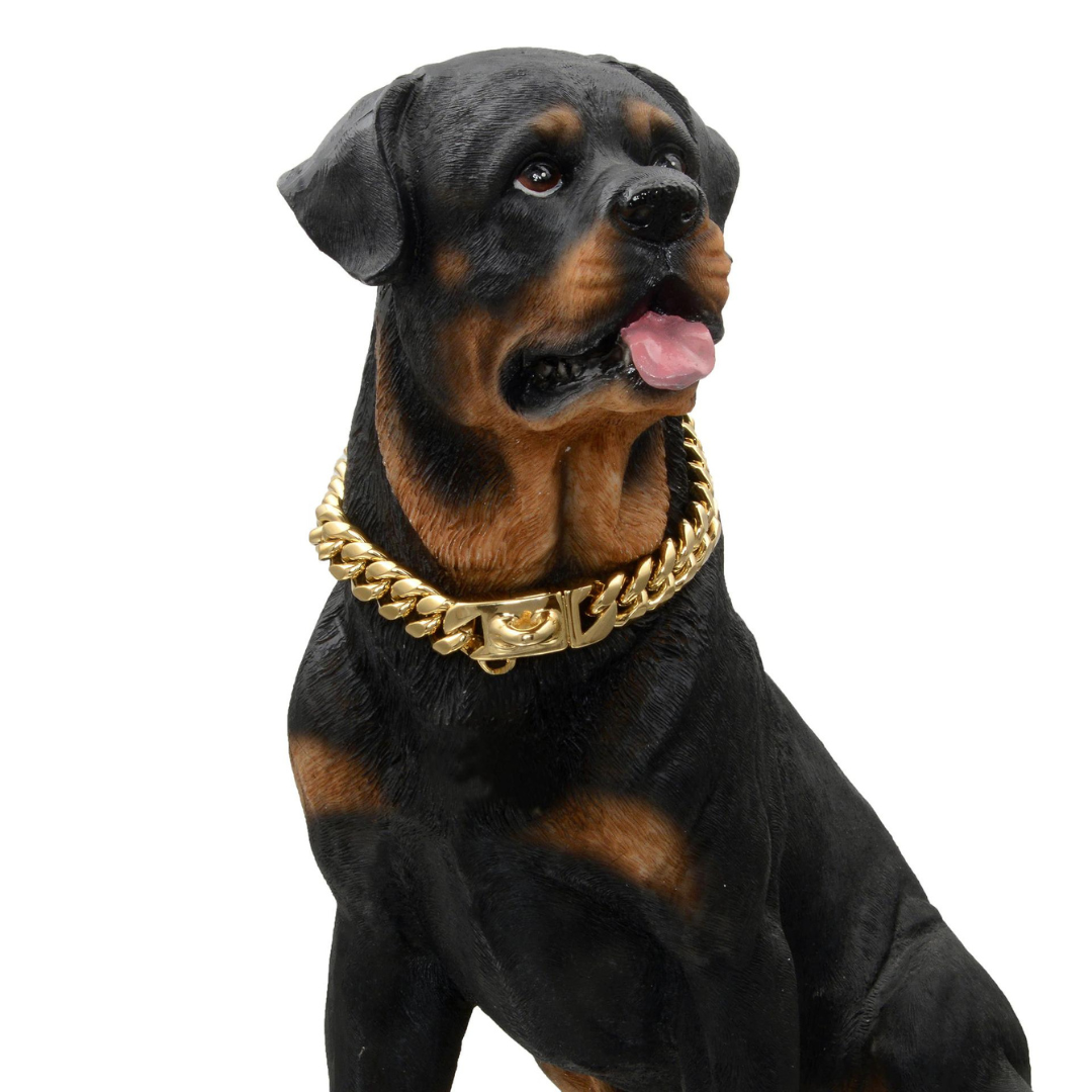 Dog collar cuban link clearance