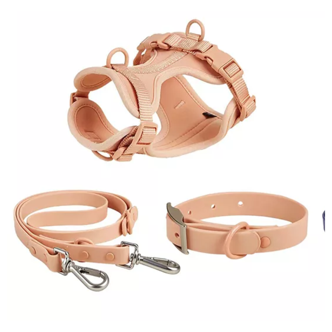 Dog harness leash hot sale and collar set