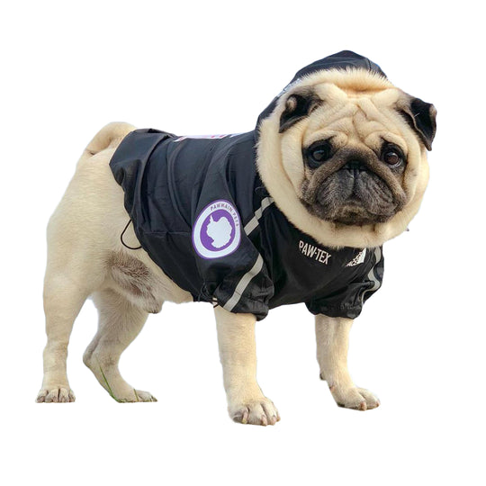 The Dog Face Windbreaker