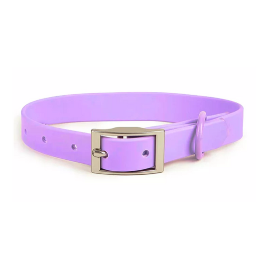 Colors Collar