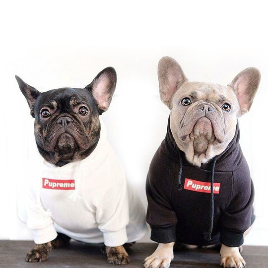 Classic Pupreme Hoodie