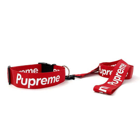 Pupreme Collar and Leash Set