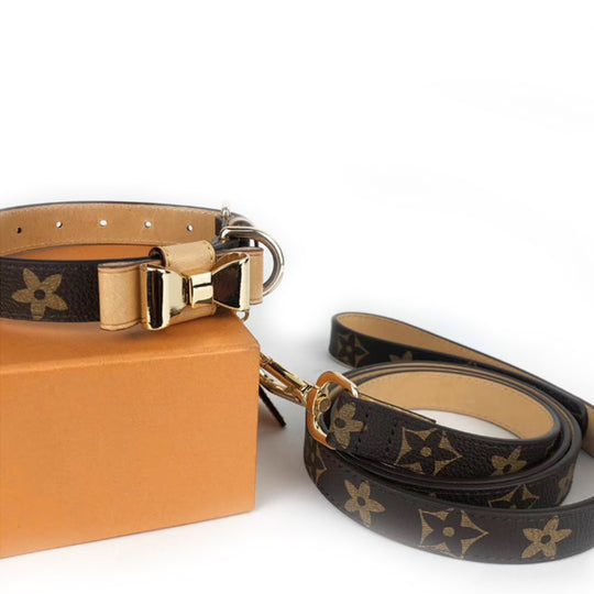 PV Icon Collar and Leash bundle