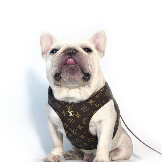 PV Monogram Harness and Leash Set