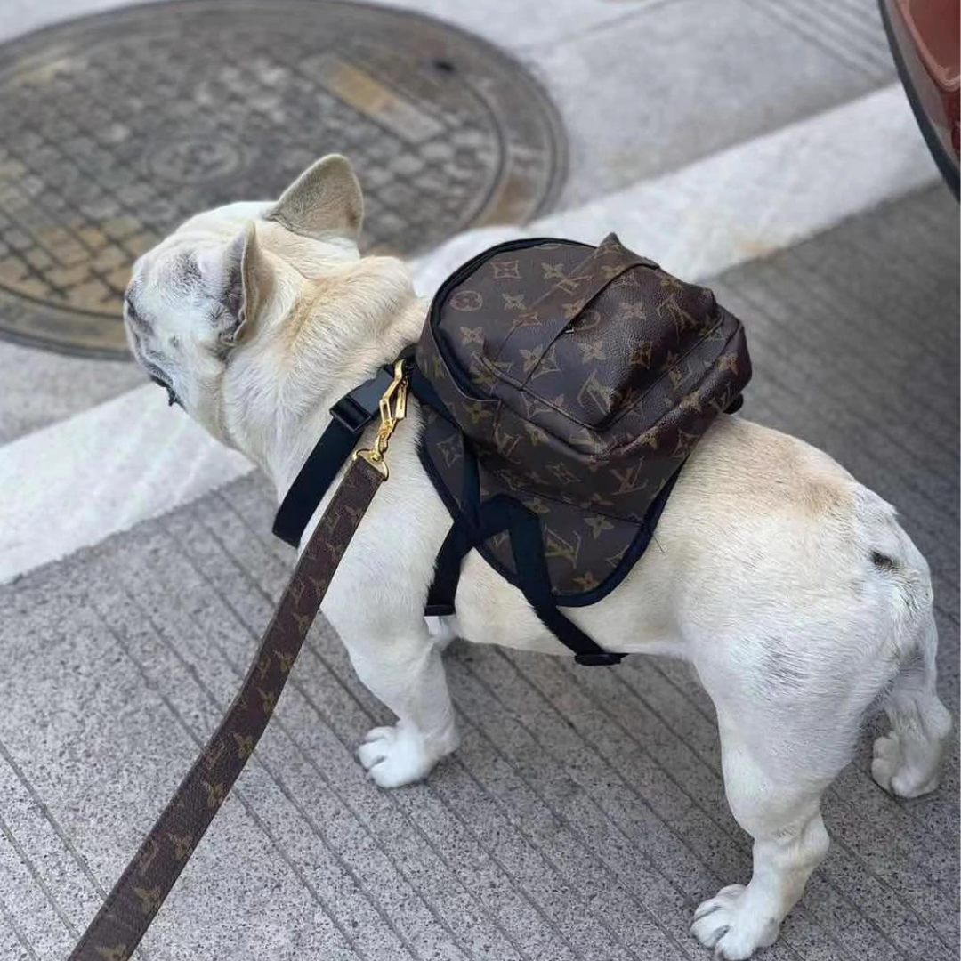 Chewy V Dog Backpack