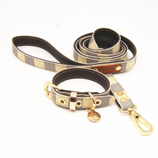Strips Collar and Leash Set