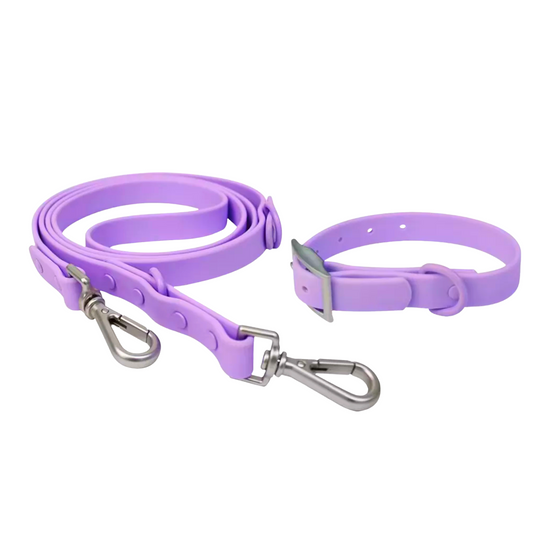 Collar and Leash Set